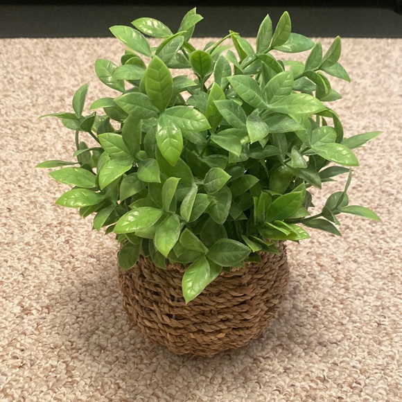 Accents Faux Floral Greenery Basket Plant Poshmark